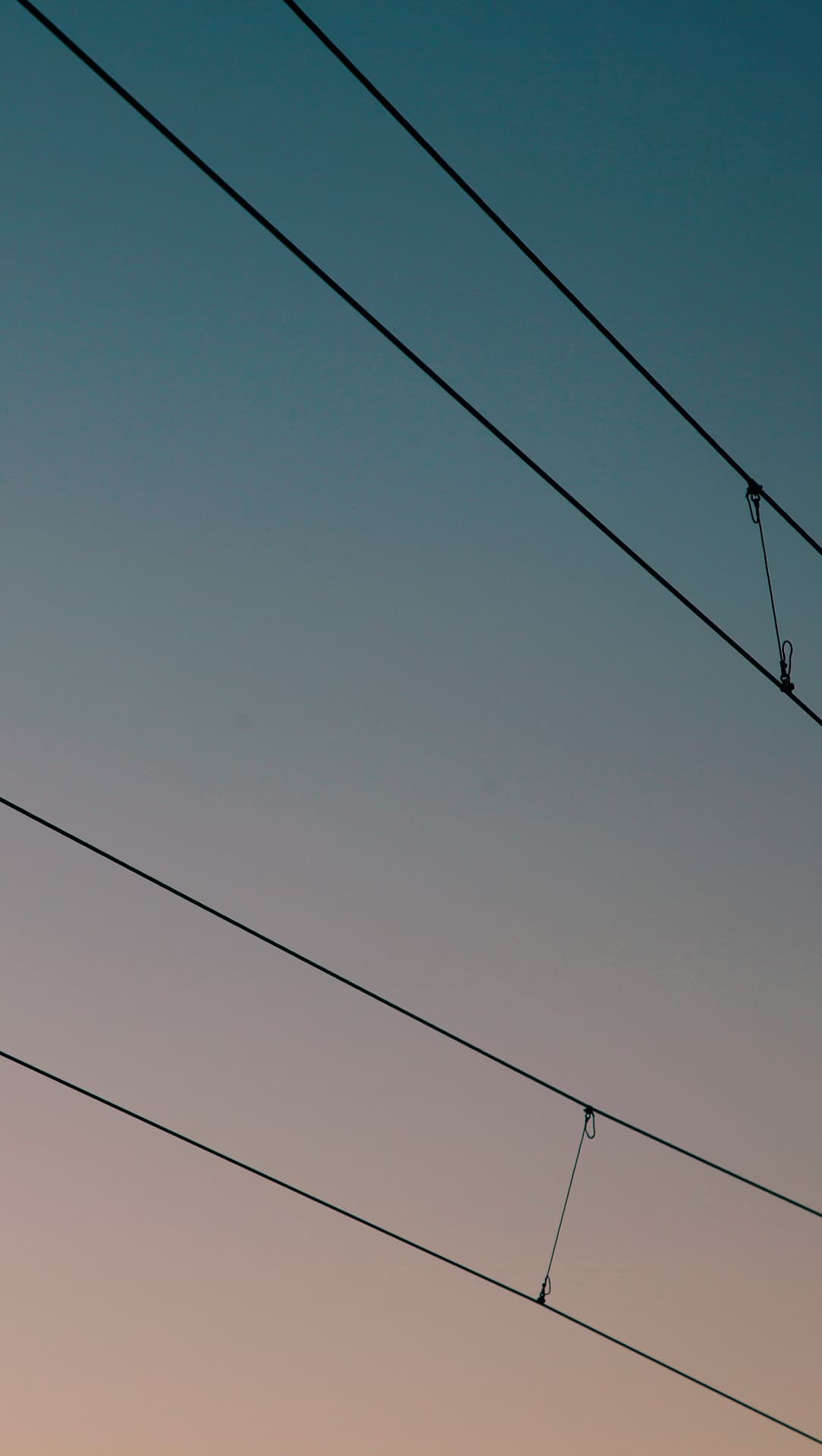 Wires at Dusk
