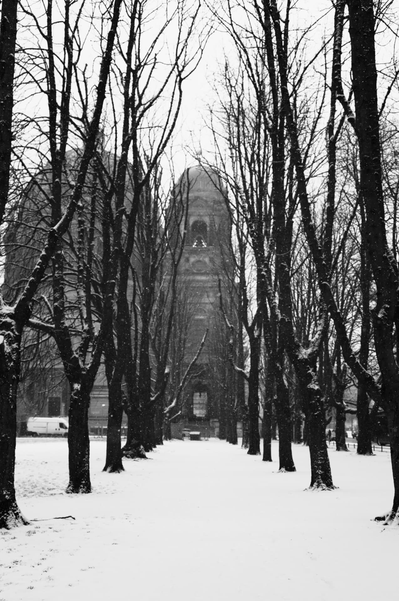 Winter Allée
