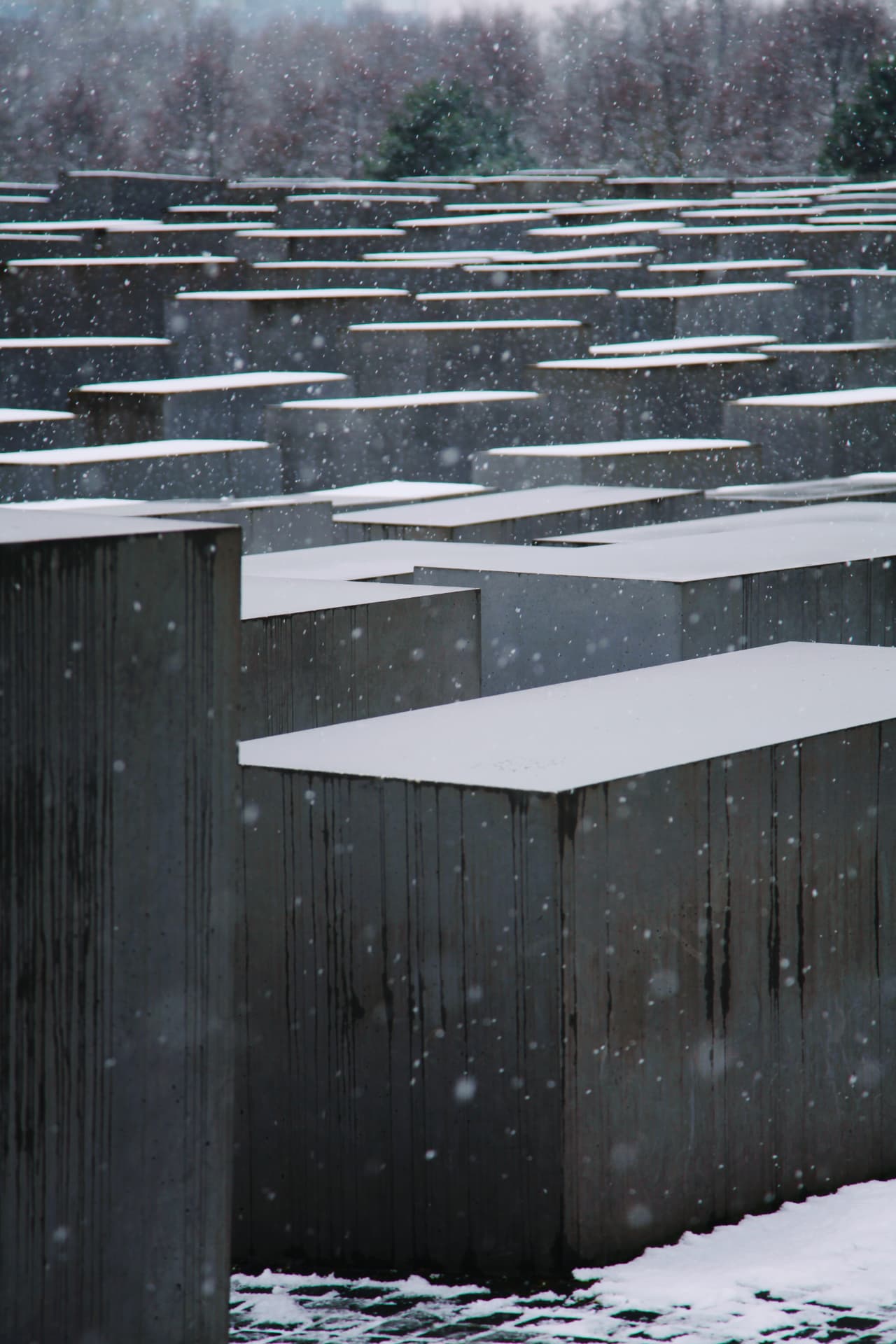 Stelae in Snow